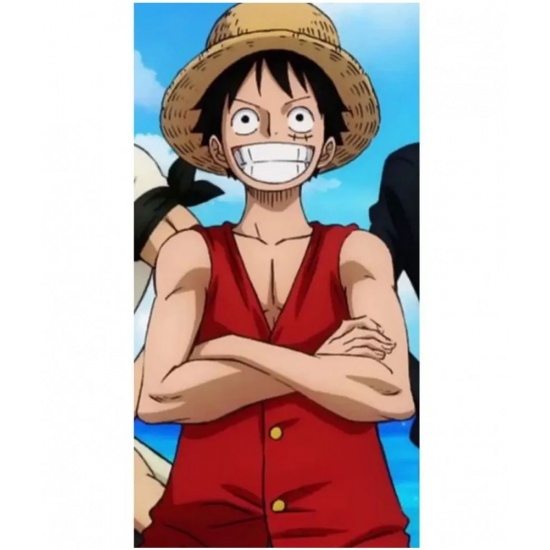 MONKEY D LUFFY ANIME RED VEST