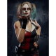 Mortal Kombat 11 Harley Quinn Jacket